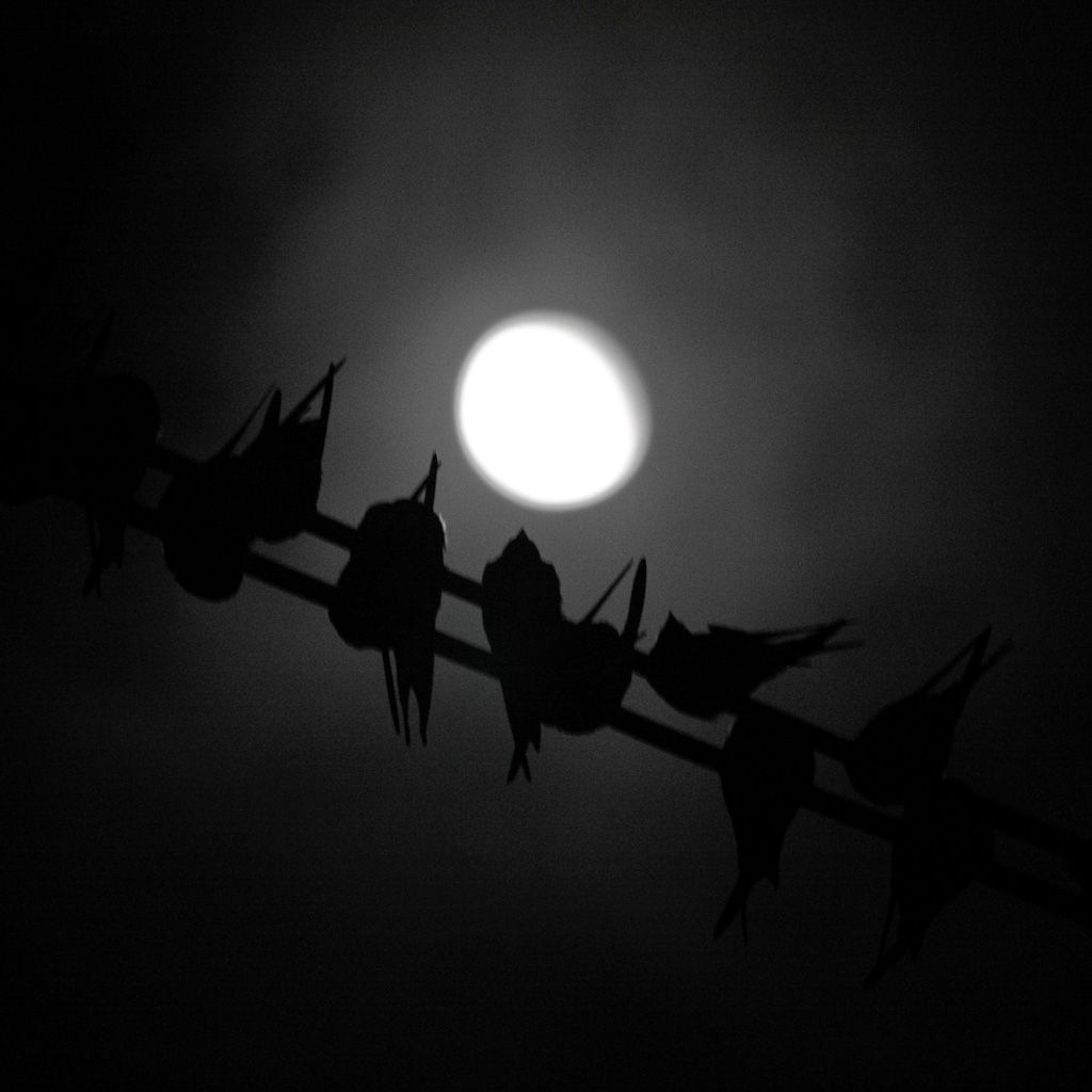 Moonlite for iPad